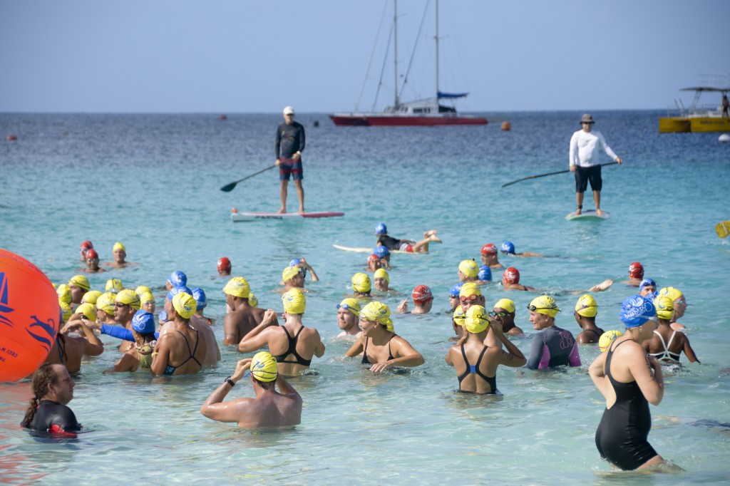Barbados Swim Festival!
