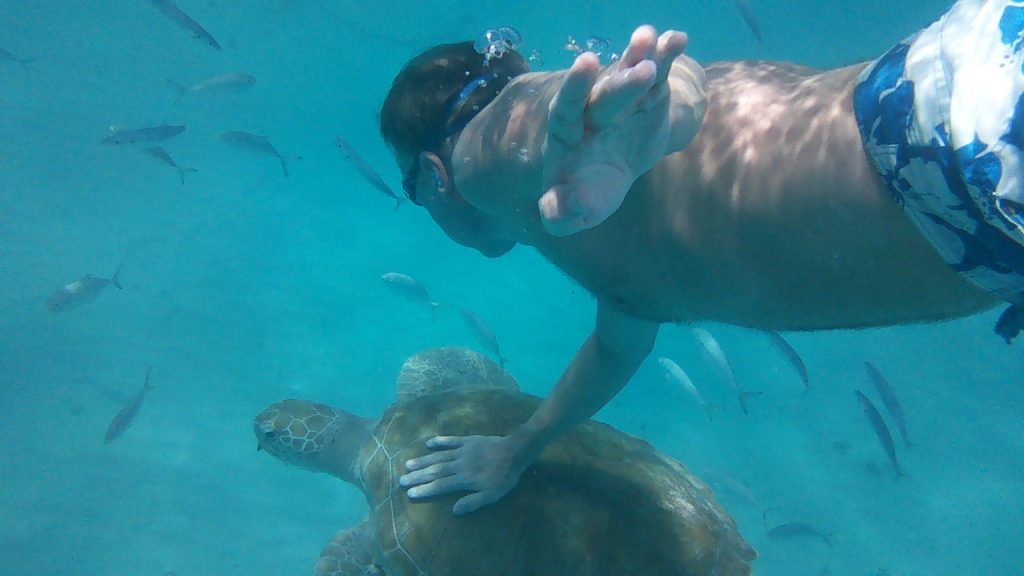 I know, I know... dont touch the turtles... but this guy really liked me and swam with me for quite a while and was too much to resist.  I was never very good a following the rules anyway...